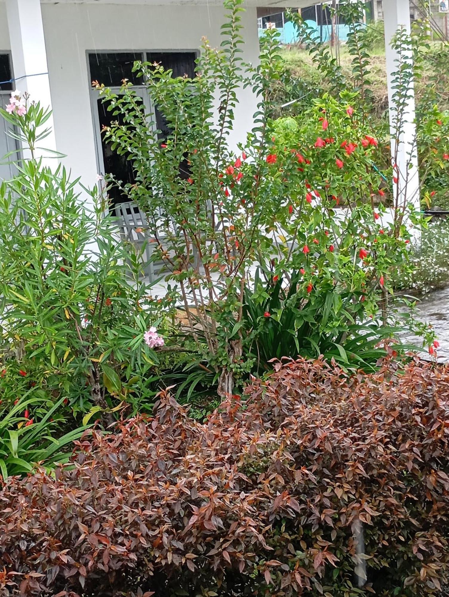 Hidayah Homestay Kelimutu Eksteriør billede